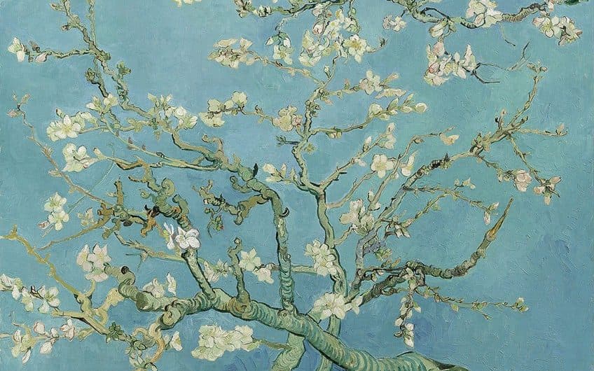 Knotted branches covered in white and pale pink almond flowers spread across a flat turquoise-blue sky — Vincent van Gogh, Almond Blossom, 1890