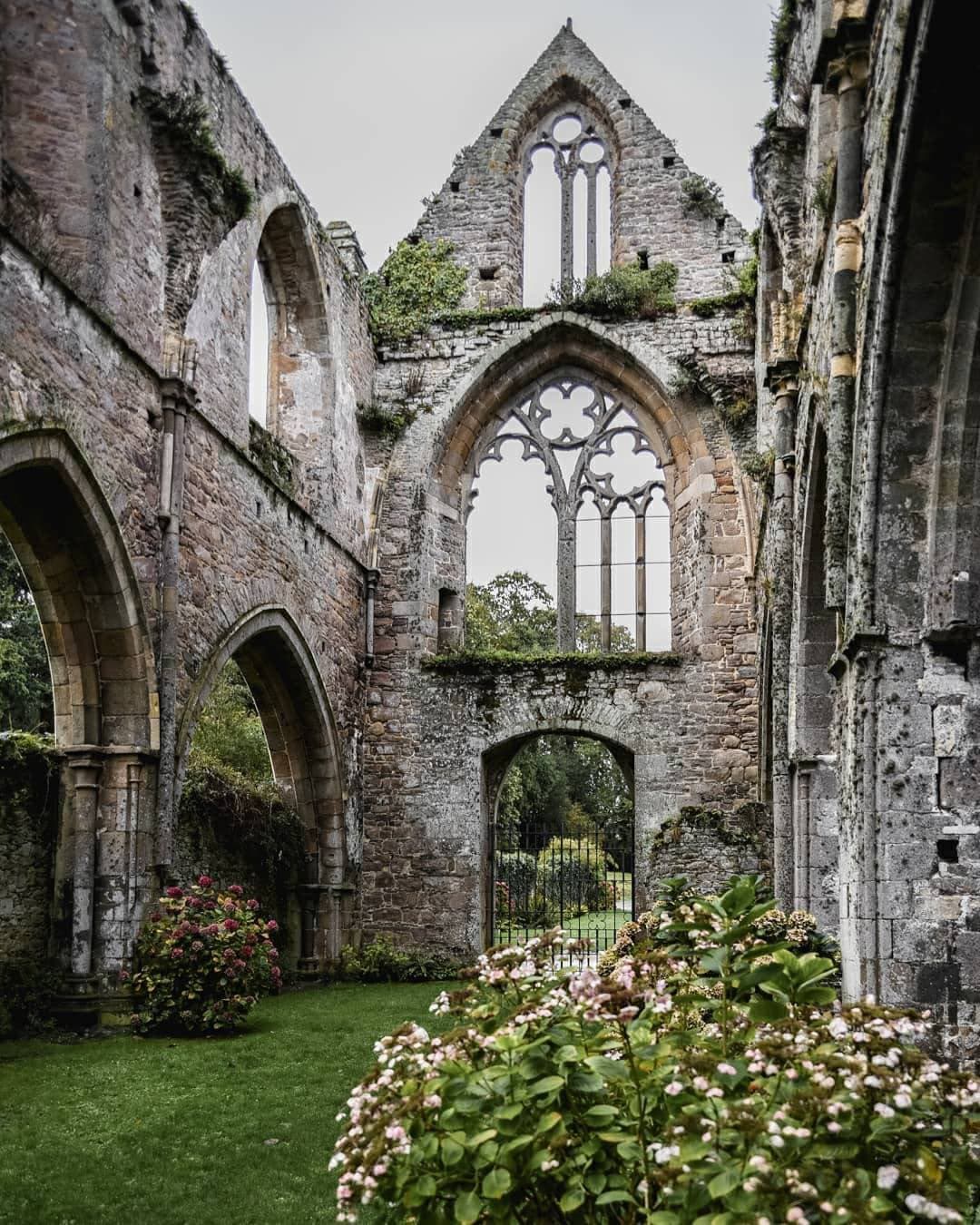 The roofless nave of a granite Gothic abbey church with pointed arches, a tracery window open to the sky and hydrangeas on the lawn — Abbaye de Beauport, Paimpol, Brittany