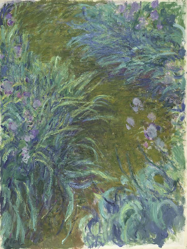 Sweeping blue-green iris leaves and purple flowers crowd both sides of an olive-brown garden path seen from above — Claude Monet, Irises, c. 1914–17