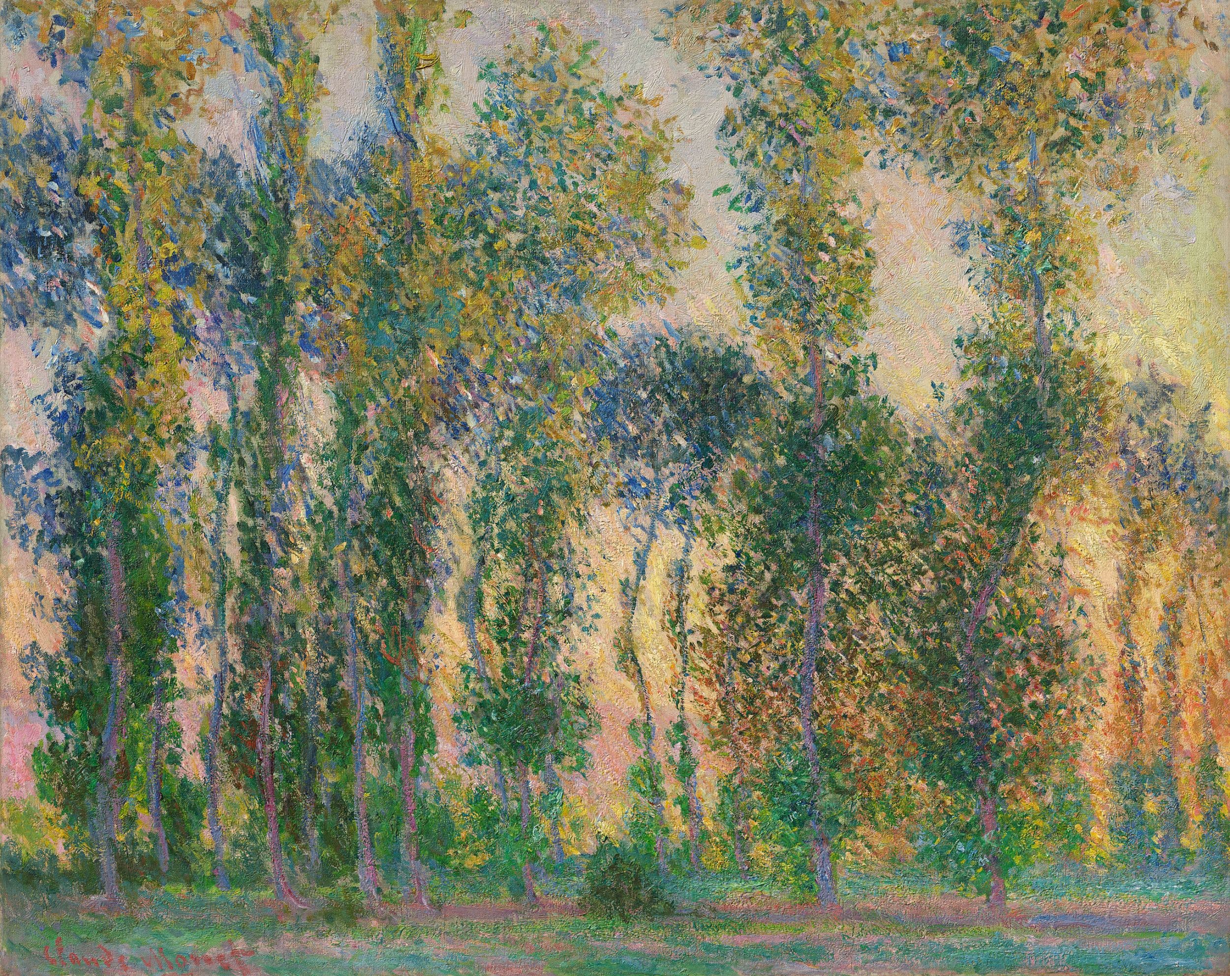 A screen of poplars with violet trunks stands against a glowing apricot and pink sky, gold light shining between them — Claude Monet, Poplars at Giverny, 1887