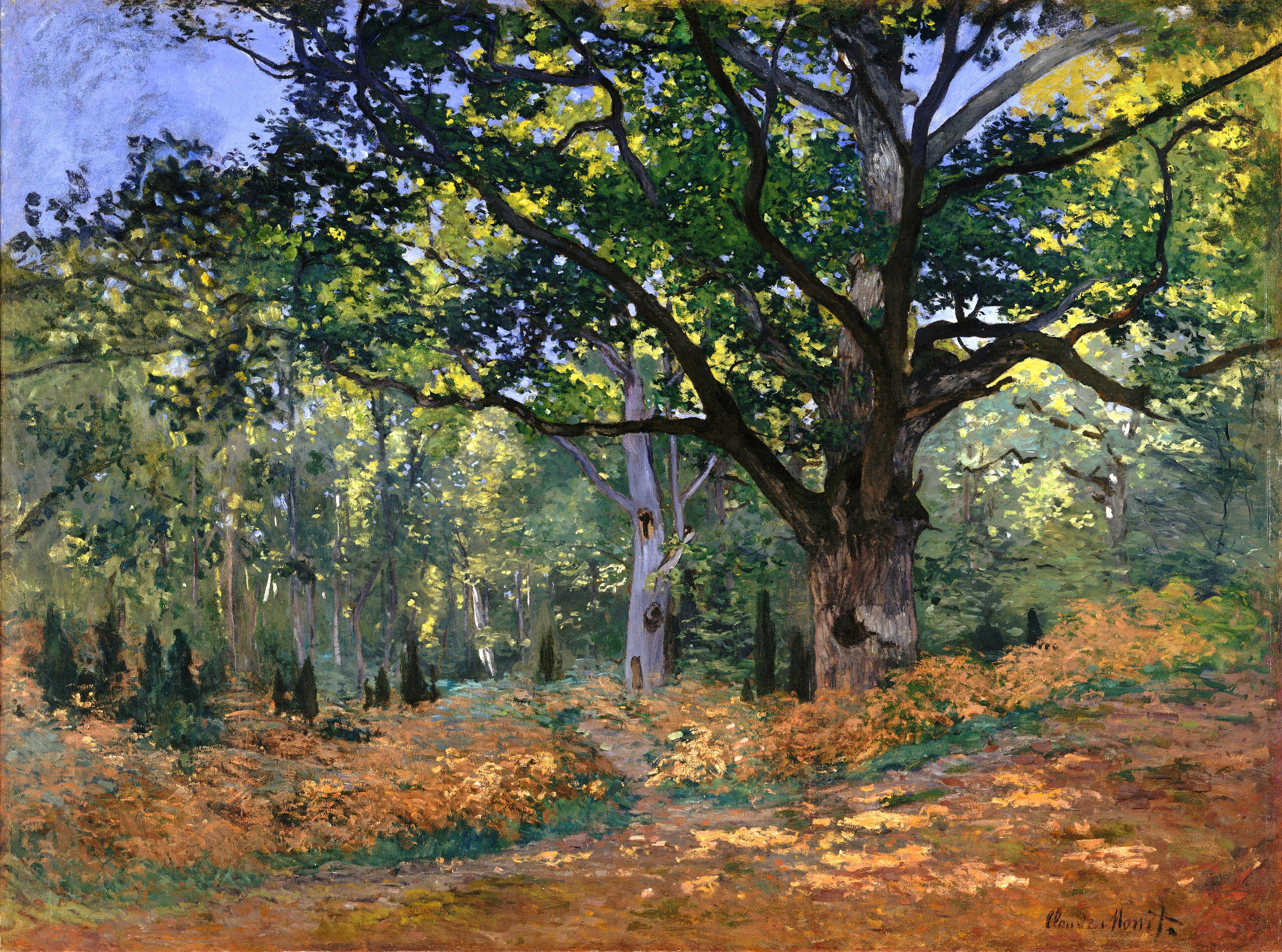 A massive old oak spreads its sunlit branches over a path through orange bracken in a green forest — Claude Monet, The Bodmer Oak, Fontainebleau Forest, 1865