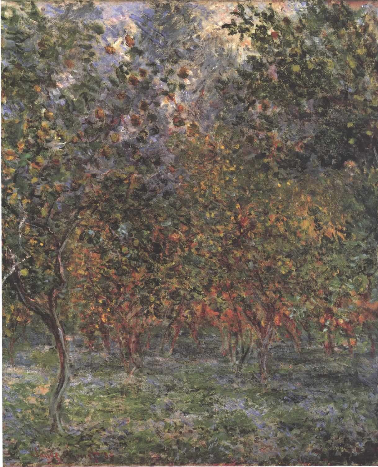 Rows of small lemon trees with reddish trunks and dense green crowns fill the canvas, a pale twisting trunk at left and lavender shadows on the grass — Claude Monet, Under the Lemon Trees, 1884