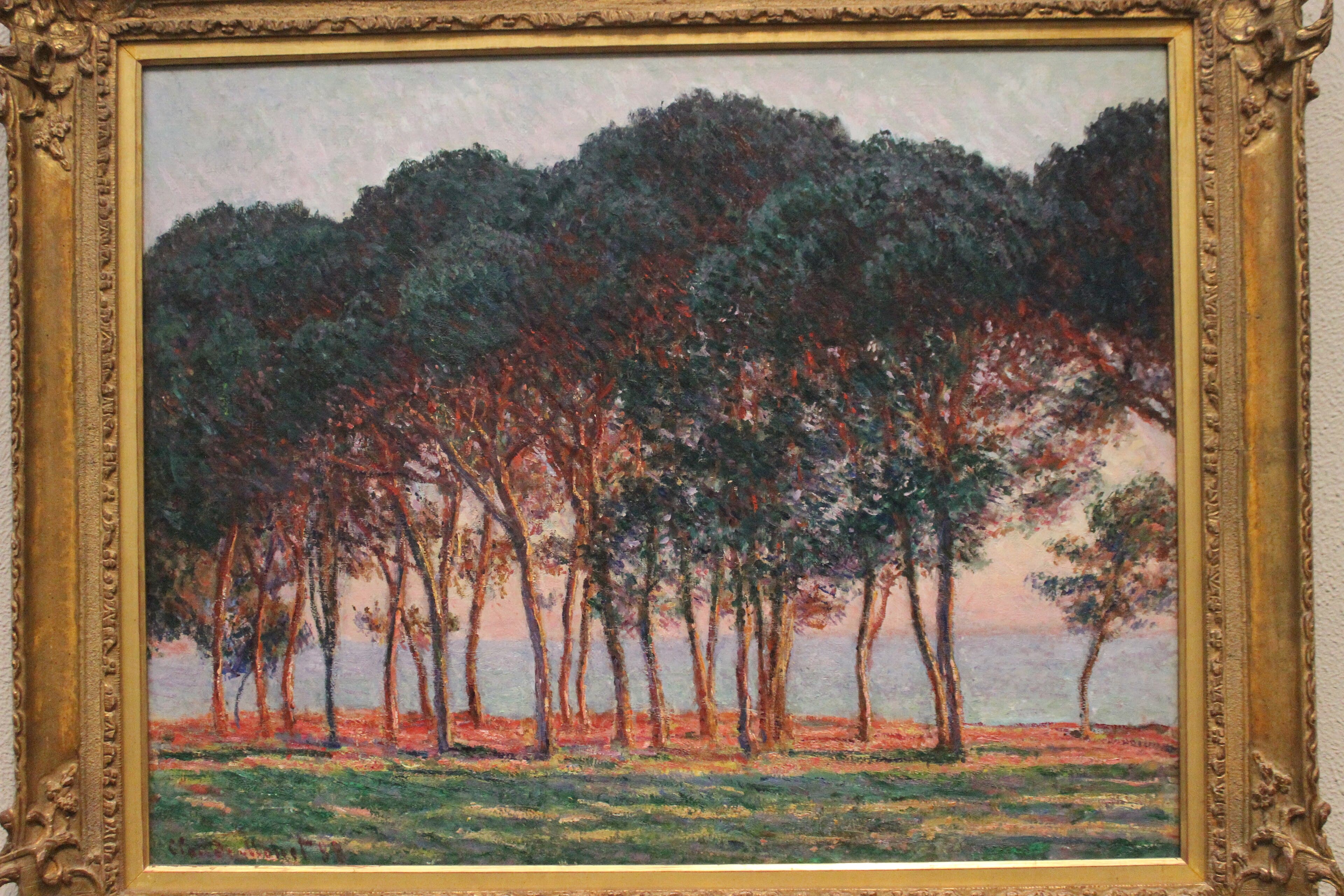 A grove of dark umbrella pines stands on a headland, their trunks and the ground glowing orange-red in the setting sun against a pale lavender sea — Claude Monet, Under the Pines, Evening, 1888