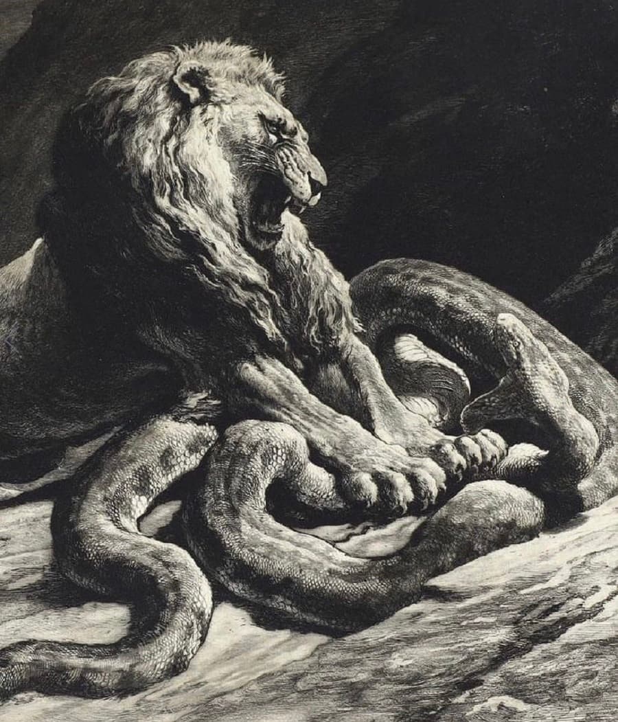 A roaring lion with a thick mane rears on a rock, one paw pinning the head of a huge coiled python against the ground — Herbert Thomas Dicksee, Victory, 1919