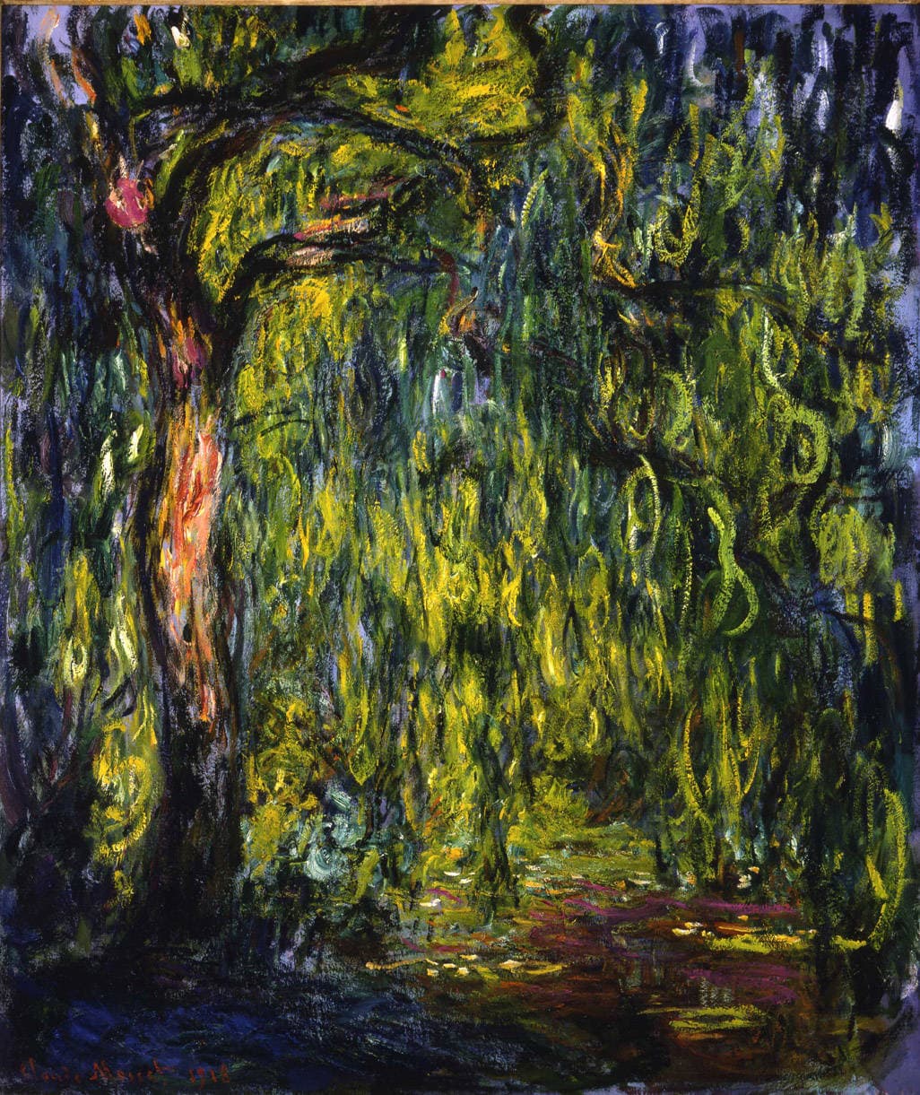 A dark willow trunk arches over a cascade of yellow and green trailing branches above a glimpse of lily pond — Claude Monet, Weeping Willow, 1918