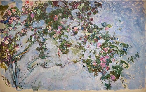 The roses