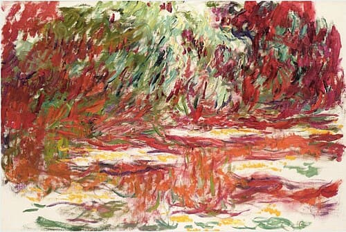 Bassin aux nymphéas