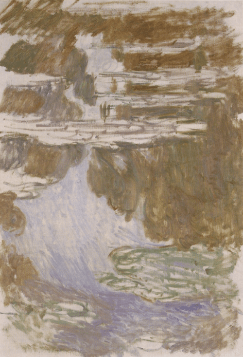 Water Lilies. Study