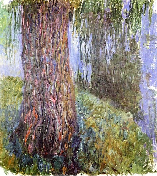 Saule pleureur et bassin aux nymphéas