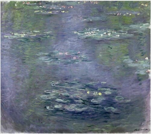 Water Lilies