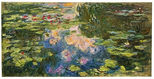 Water-Lily Pond