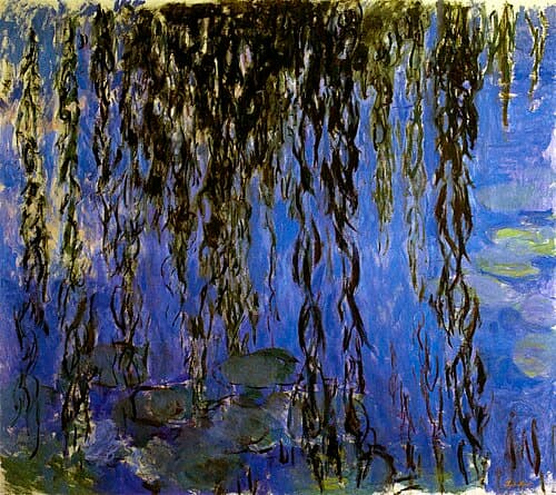 Nymphéas avec rameaux de saule