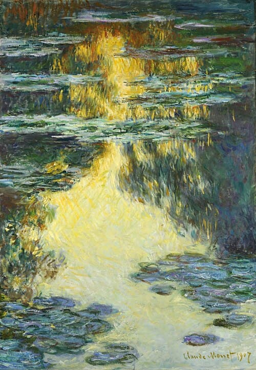 Water Lilies
