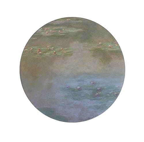 Water Lilies