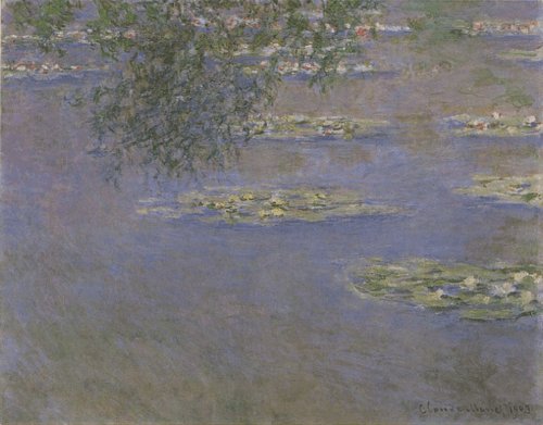 Nymphéas