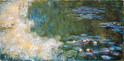Water Lily Pond