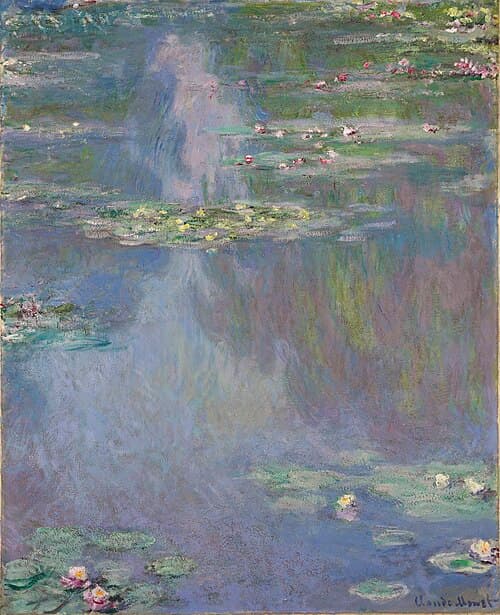 Water Lilies