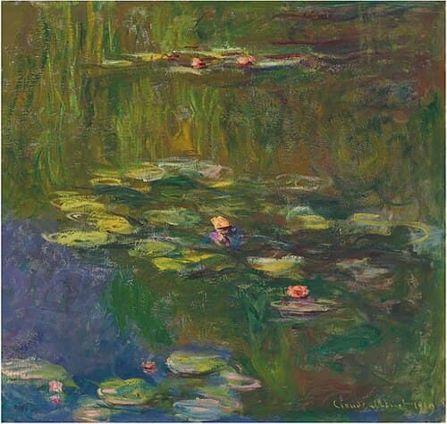 The Water Lily Pond