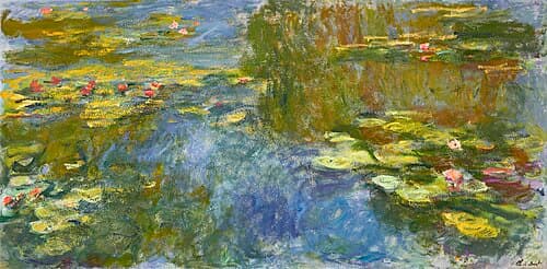 The Water Lily Pond