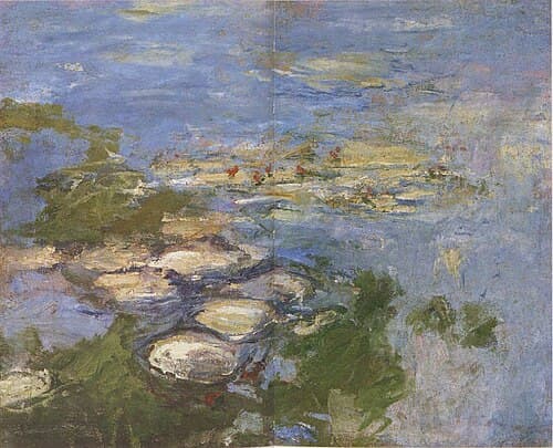 Water Lilies