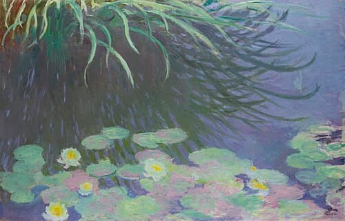 Nymphéas avec reflets de hautes herbes