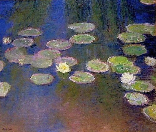 Water-Lilies