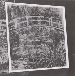 Water-Lily Pond