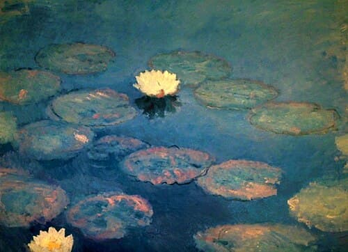 Water Lilies