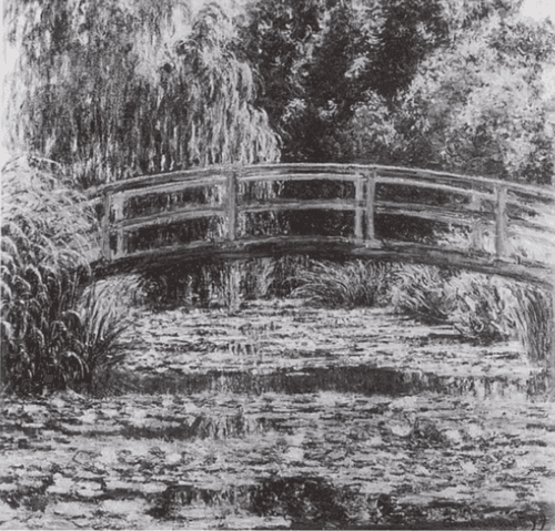 The Water Lily Pond