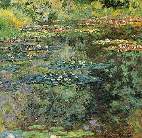 Water-Lilies