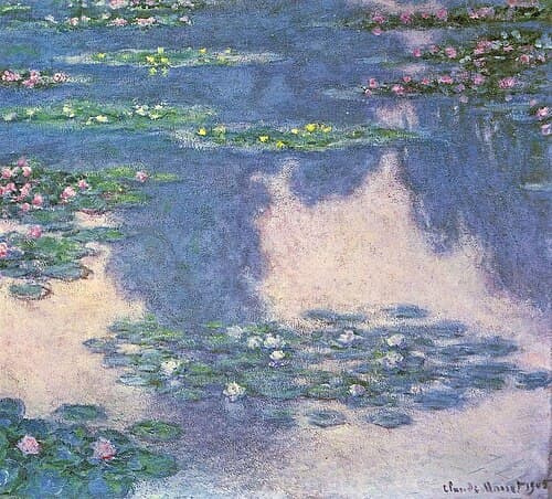 Water-Lilies