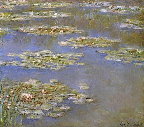 Water-Lilies