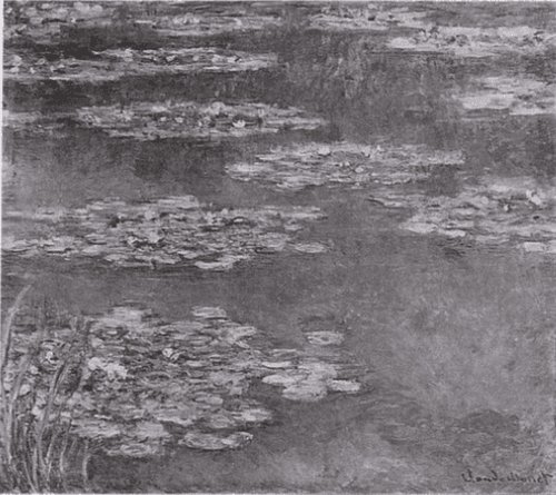 Water-Lilies