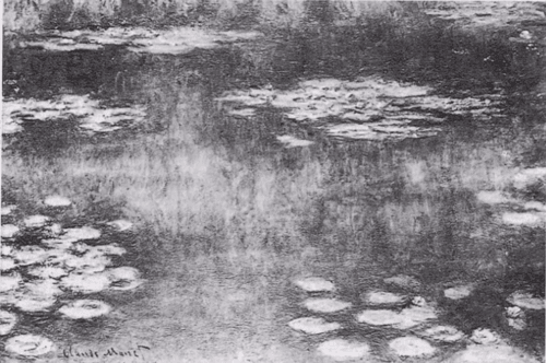 Water-Lilies