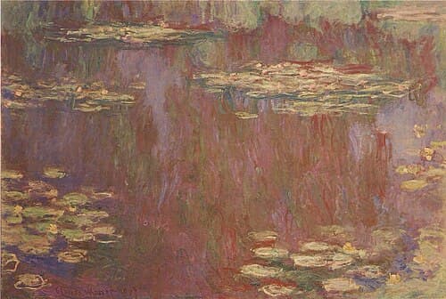 Water-Lilies