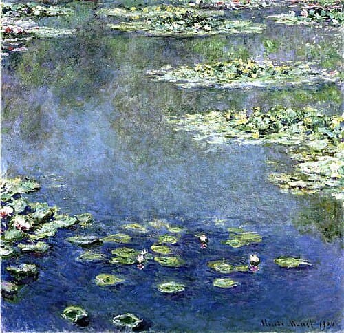 Water-Lilies