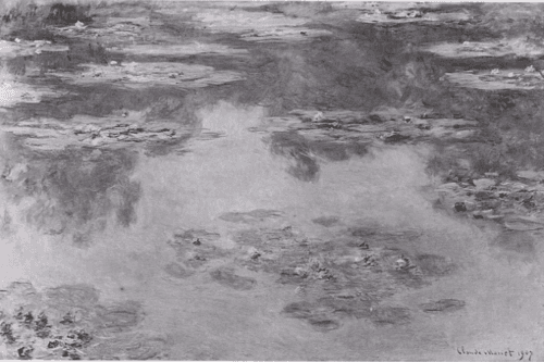 Water-Lilies