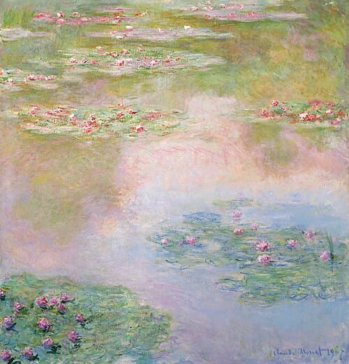 Water-Lilies