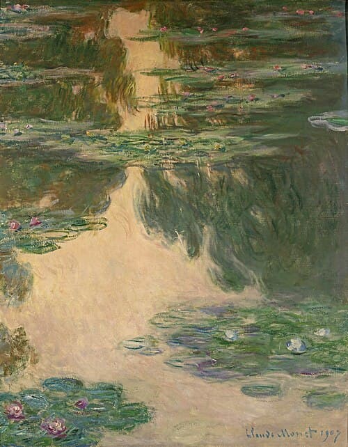 Water-Lilies