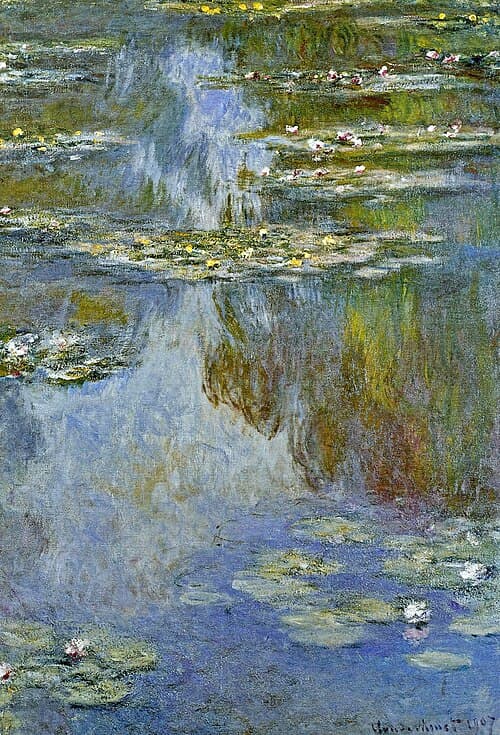 Water-Lilies