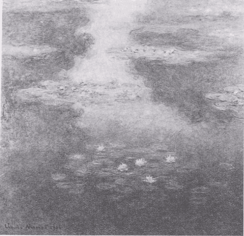 Water-Lilies