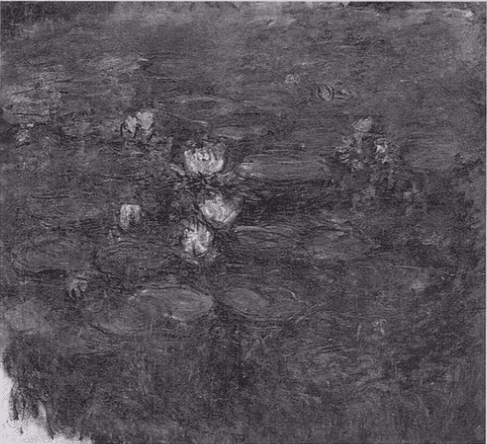 Water-Lilies