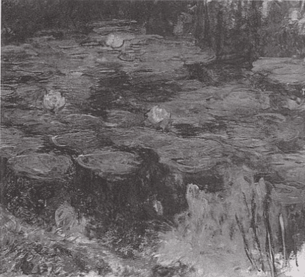 Water Lilies
