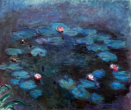Water Lilies