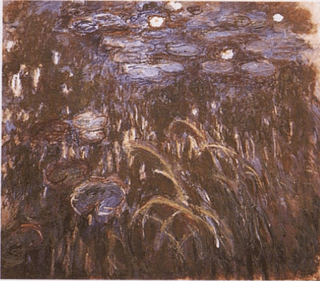 Water Lilies