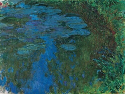 Water Lilies