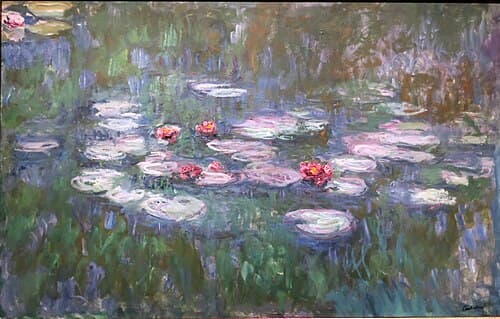 Water-Lilies