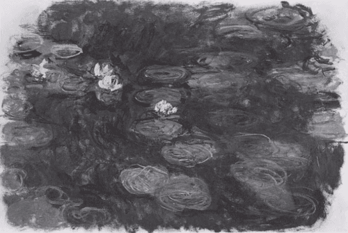 Water-Lilies