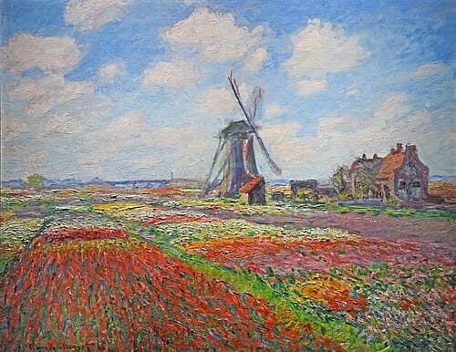 Tulip Field in Holland