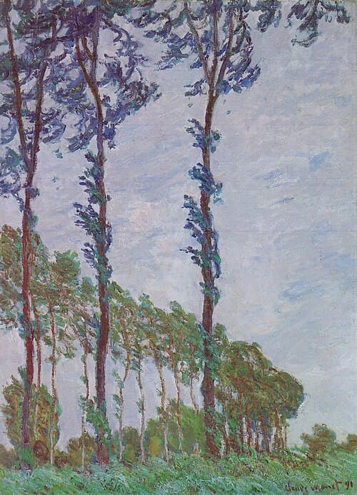 Wind Effect, Row of Poplars